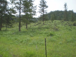 Looking across meadows towards Eagle Bluff, hard to find trail, Eagle Bluff Trail 2013-05.